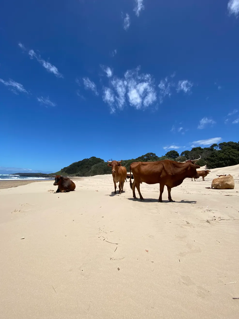 mazeppa-sunrise photo 1